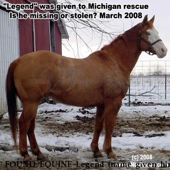 FOUND EQUINE Legend (name given him by rescue), Near unknown, IN, 00000